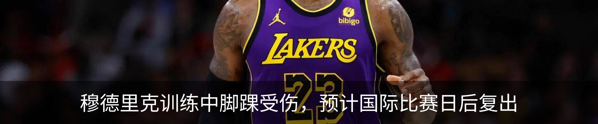 最新动态