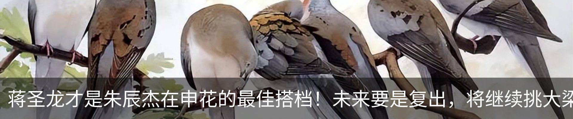 最新动态